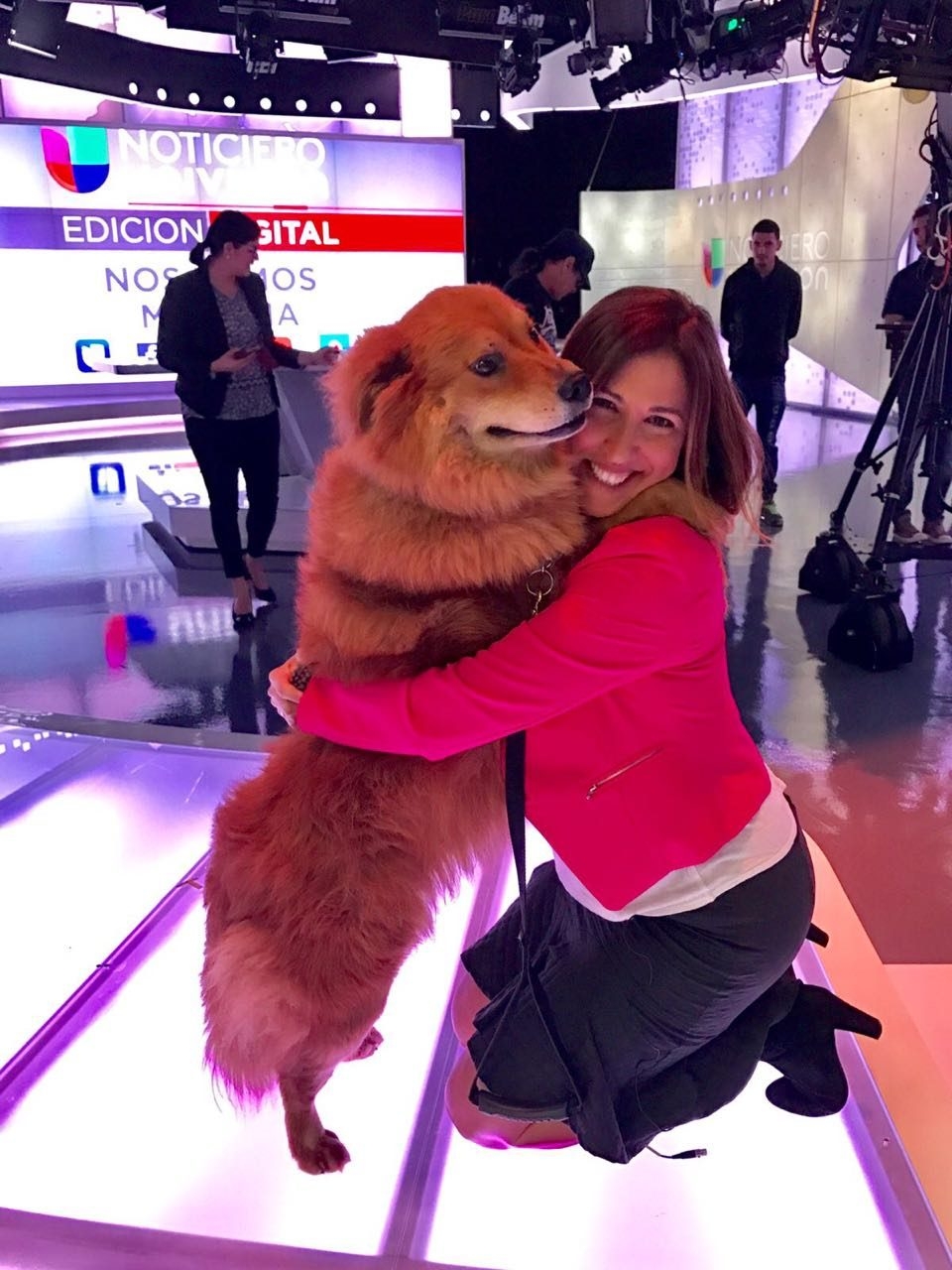 Interview #EdicionDigital on Univision | Ale Ramos Therapy Animals