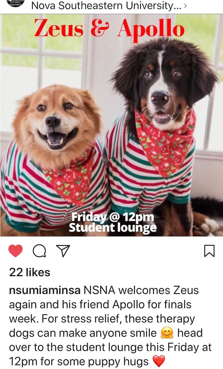 Nova Southeastern University Visit | Ale Ramos Therapy Animals