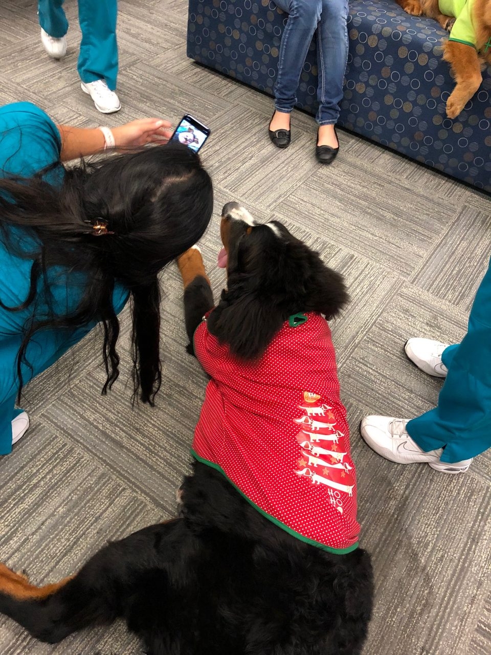 Nova Southeastern University Visit | Ale Ramos Therapy Animals
