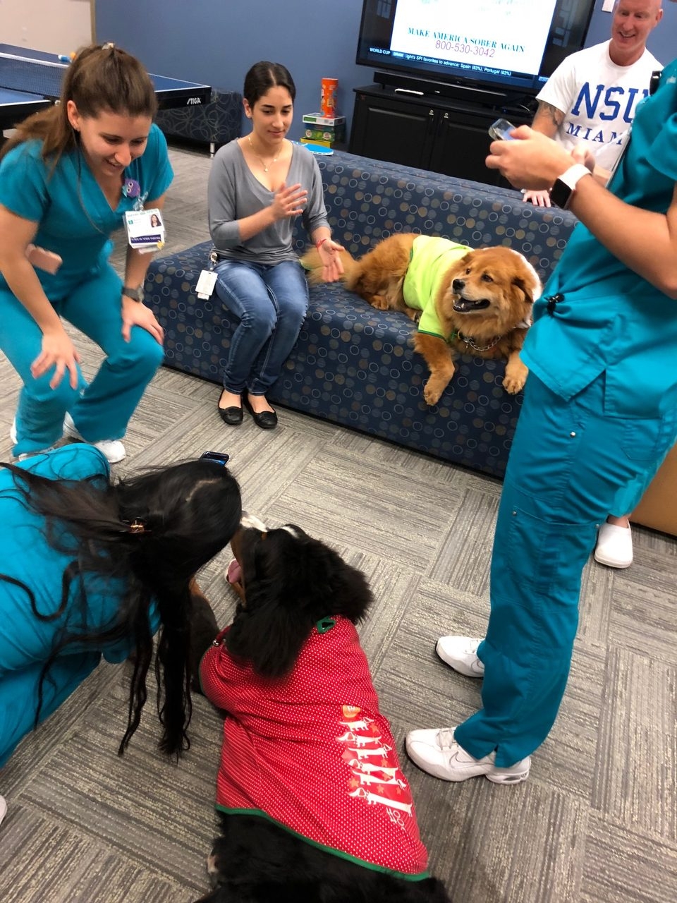 Nova Southeastern University Visit | Ale Ramos Therapy Animals