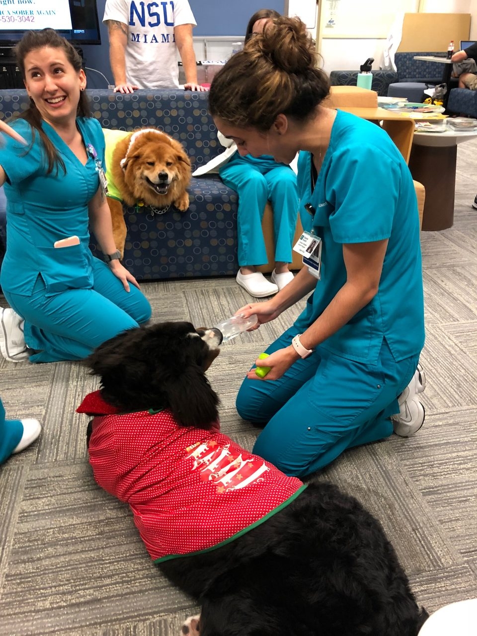 Nova Southeastern University Visit | Ale Ramos Therapy Animals
