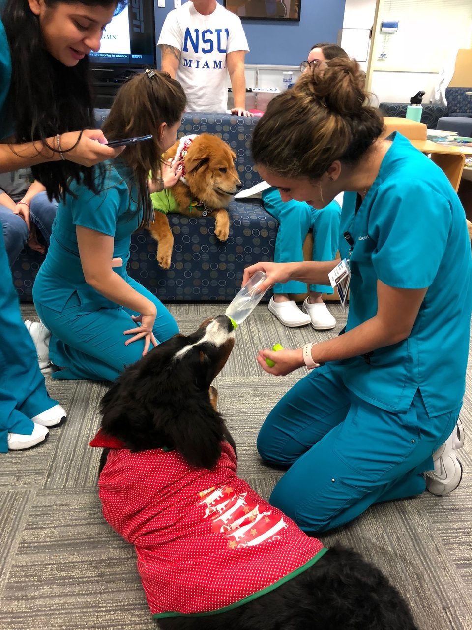 Nova Southeastern University Visit | Ale Ramos Therapy Animals