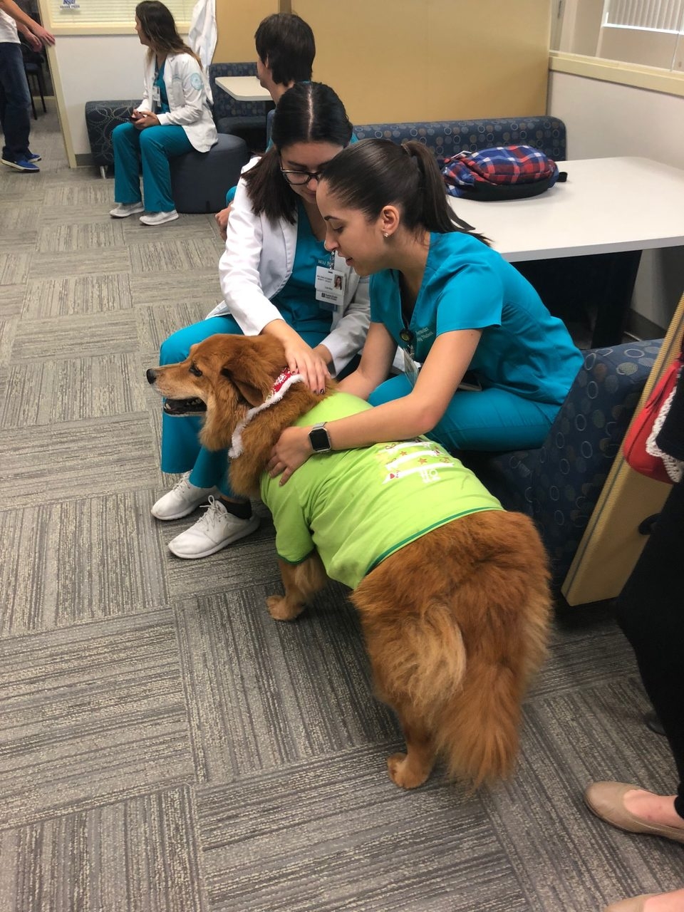 Nova Southeastern University Visit | Ale Ramos Therapy Animals