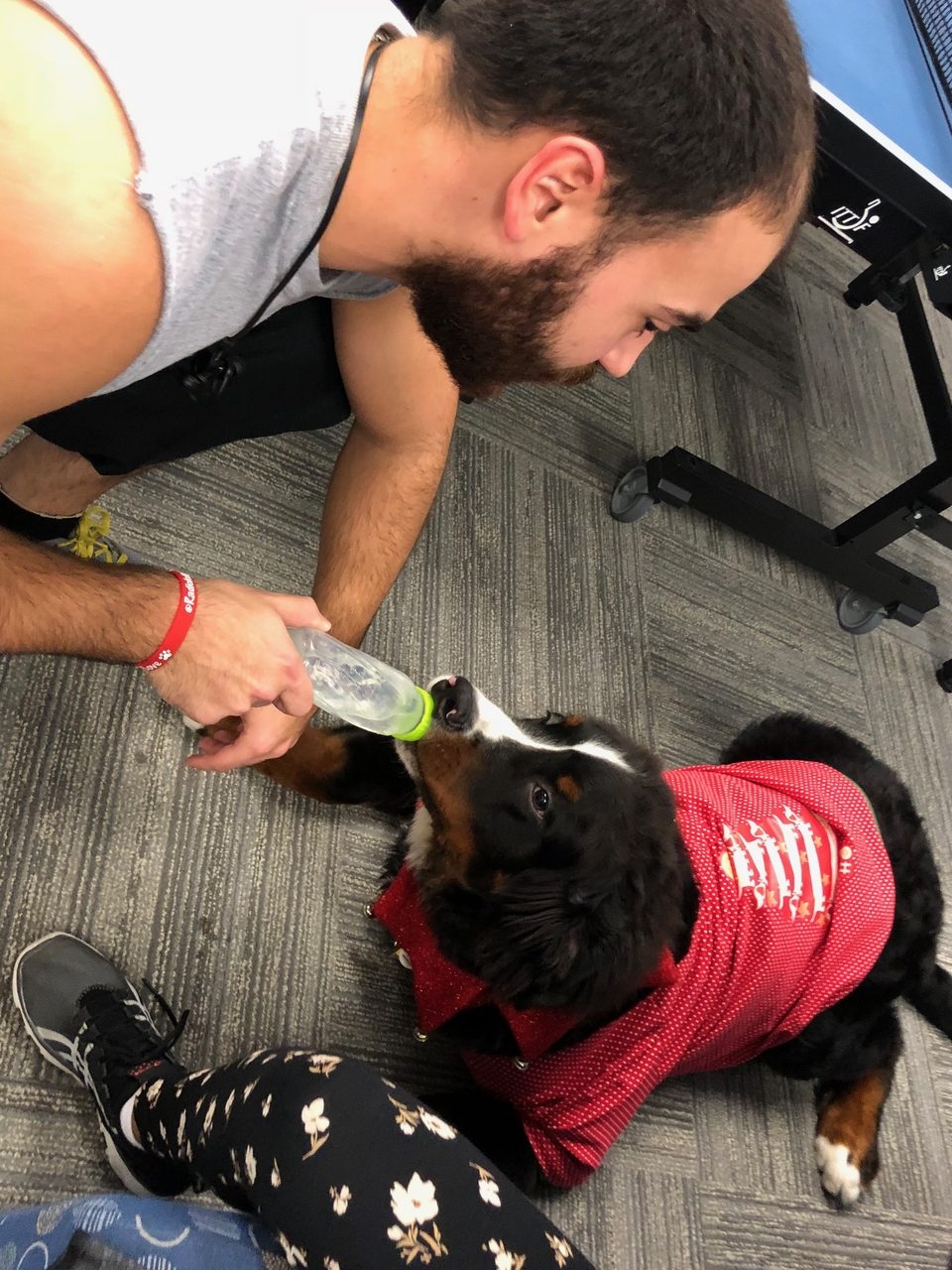 Nova Southeastern University Visit | Ale Ramos Therapy Animals