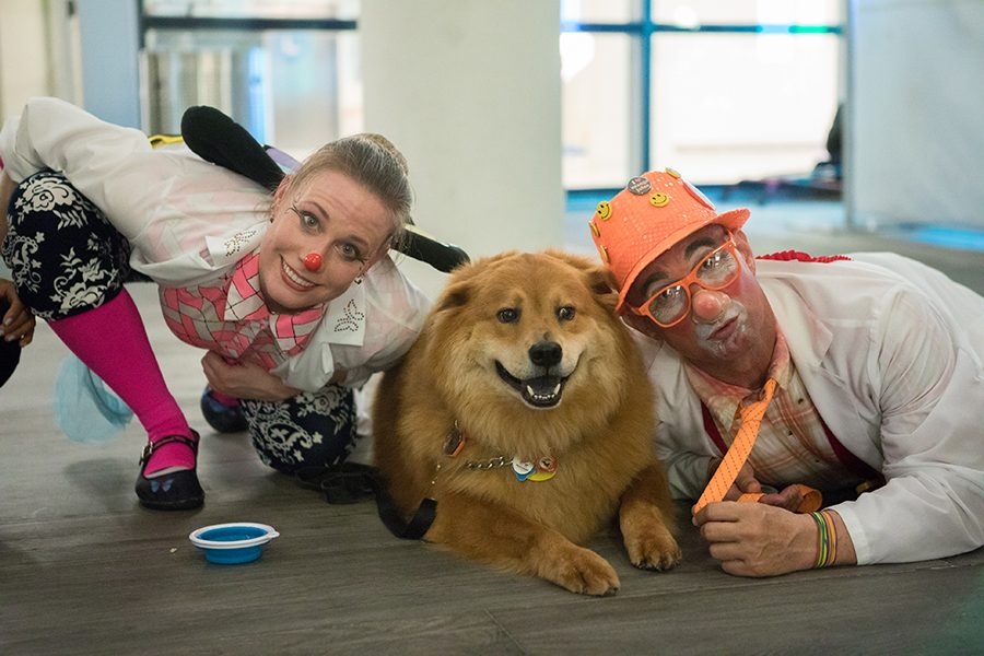 Radio Lollipop Birthday - Host Chino | Ale Ramos Therapy Animals