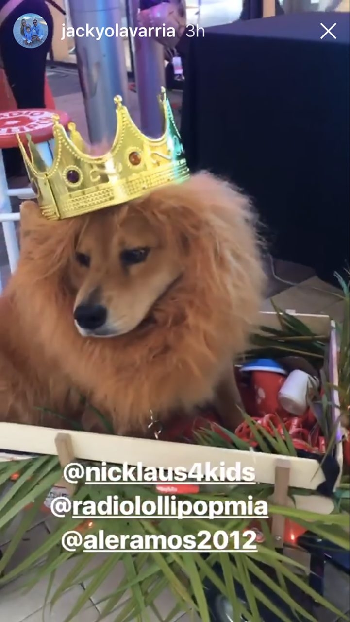 Radio Lollipop Birthday - Host Chino | Ale Ramos Therapy Animals