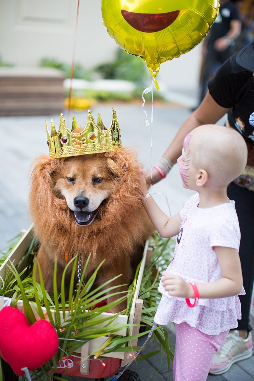 Radio Lollipop Birthday - Host Chino | Ale Ramos Therapy Animals