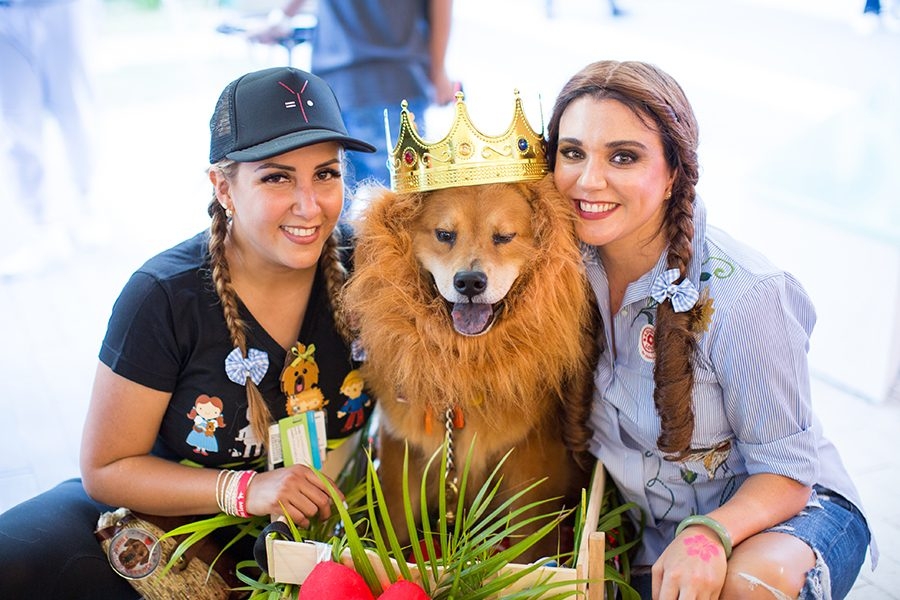 Radio Lollipop Birthday - Host Chino | Ale Ramos Therapy Animals