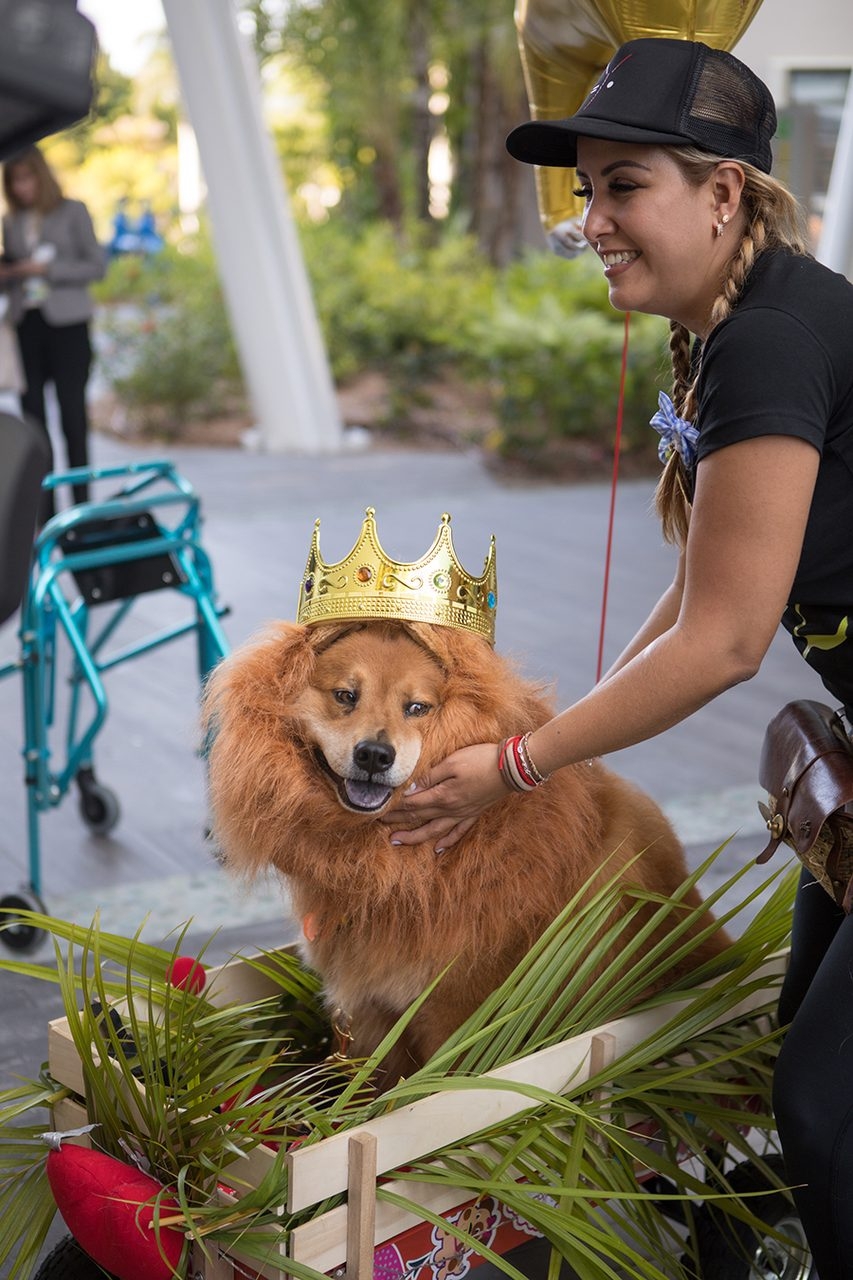 Radio Lollipop Birthday - Host Chino | Ale Ramos Therapy Animals