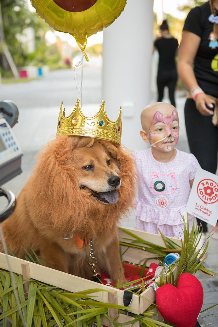 Radio Lollipop Birthday - Host Chino | Ale Ramos Therapy Animals