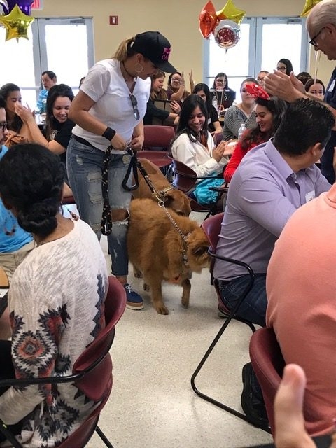 Radio Lollipop Recognition | Ale Ramos Therapy Animals