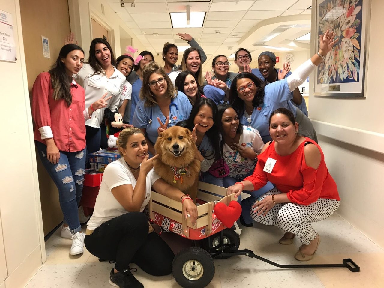 Radio Lollipop visit | Ale Ramos Therapy Animals