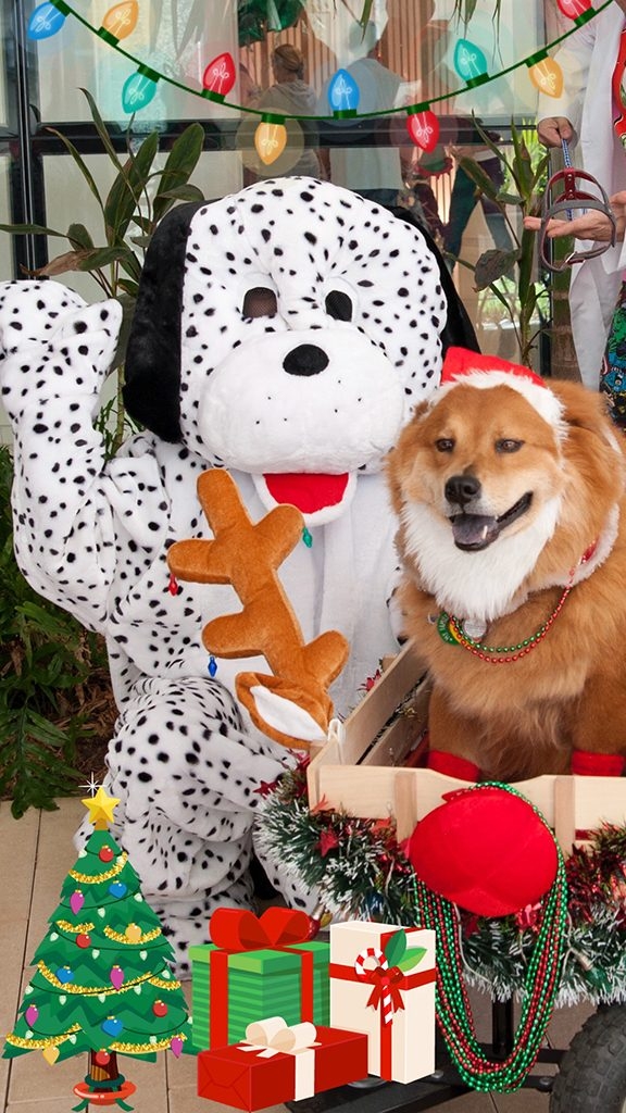 Santa Paws Event at Nicklaus Children’s Hospital | Ale Ramos Therapy Animals