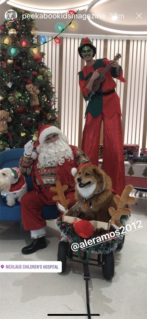 Santa Paws Event at Nicklaus Children’s Hospital | Ale Ramos Therapy Animals