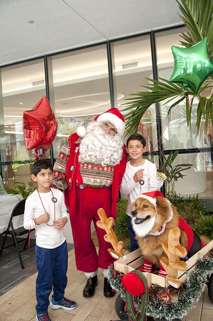 Santa Paws Event at Nicklaus Children’s Hospital | Ale Ramos Therapy Animals