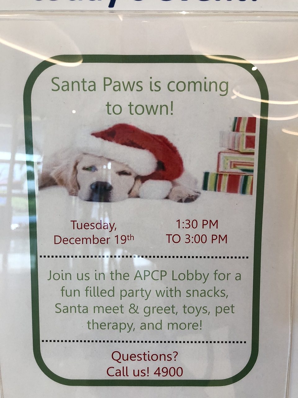 Santa Paws Event at Nicklaus Children’s Hospital | Ale Ramos Therapy Animals