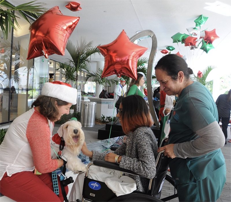 Santa Paws Event at Nicklaus Children’s Hospital | Ale Ramos Therapy Animals