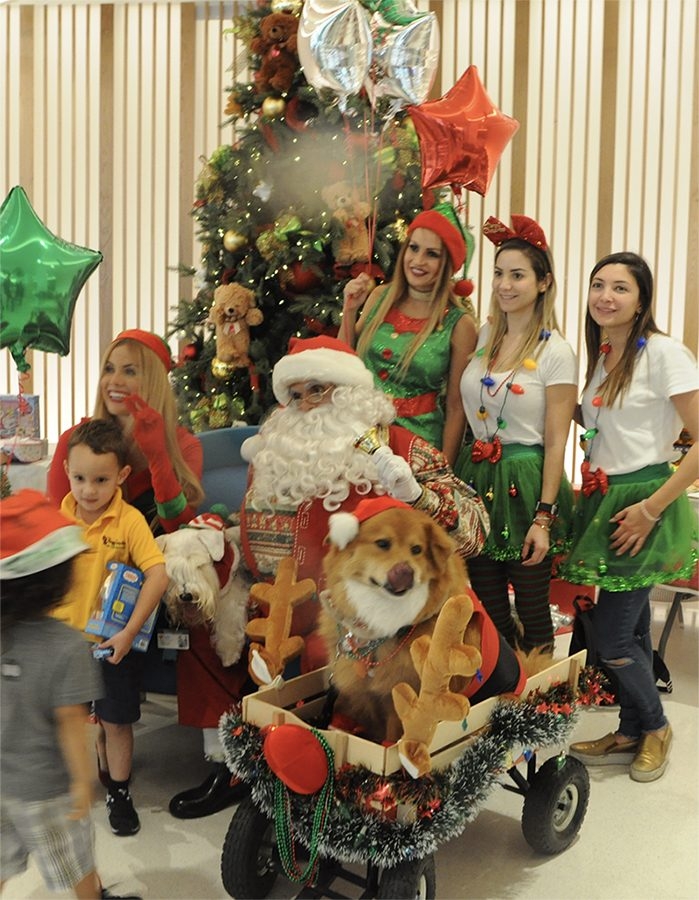 Santa Paws Event at Nicklaus Children’s Hospital | Ale Ramos Therapy Animals