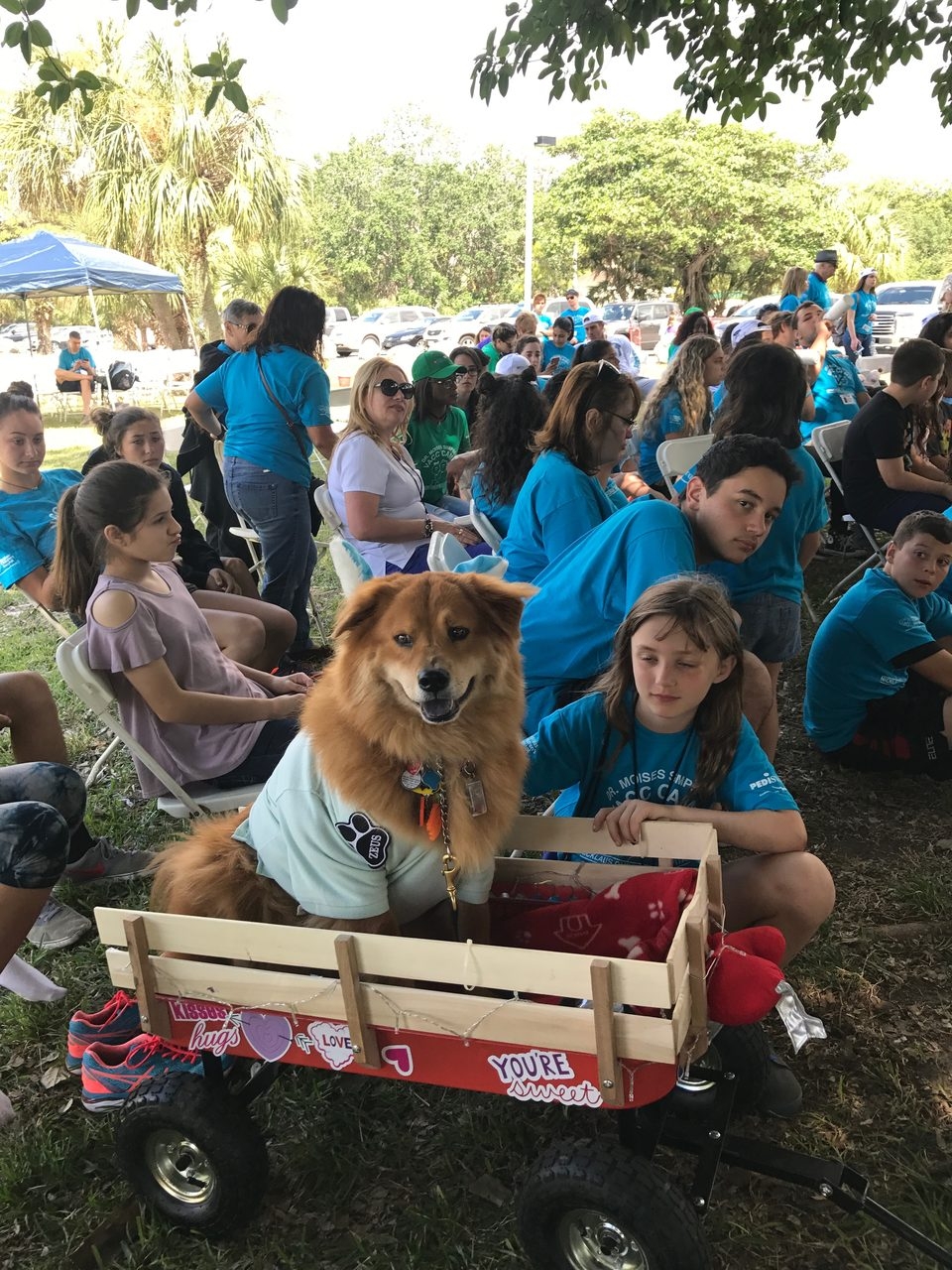 VACC Camp (Ventilation Assisted Children Center) by Nicklaus Children’s Hospital | Ale Ramos Therapy Animals