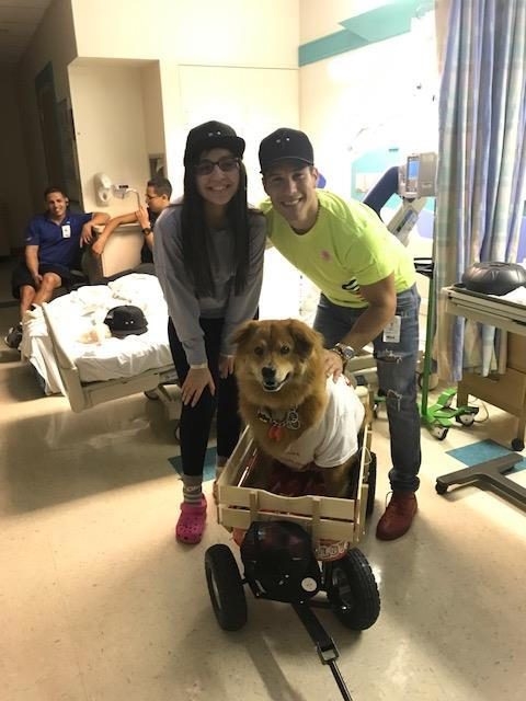 Visit at Nicklaus Children’s Hospital by Radio Lollipop | Ale Ramos Therapy Animals