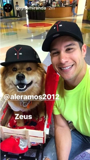 Visit at Nicklaus Children’s Hospital by Radio Lollipop | Ale Ramos Therapy Animals