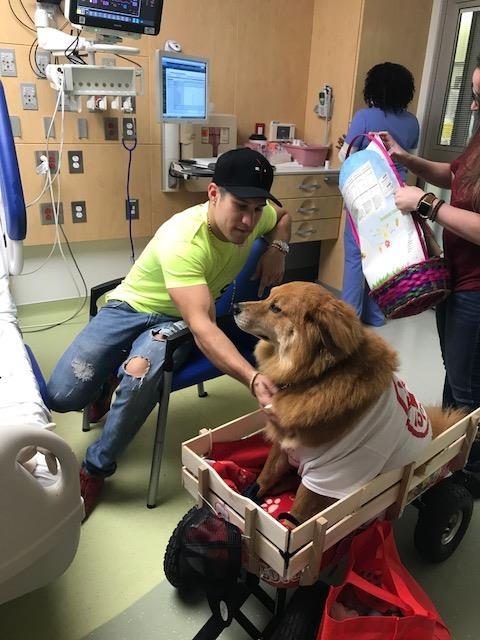 Visit at Nicklaus Children’s Hospital by Radio Lollipop | Ale Ramos Therapy Animals