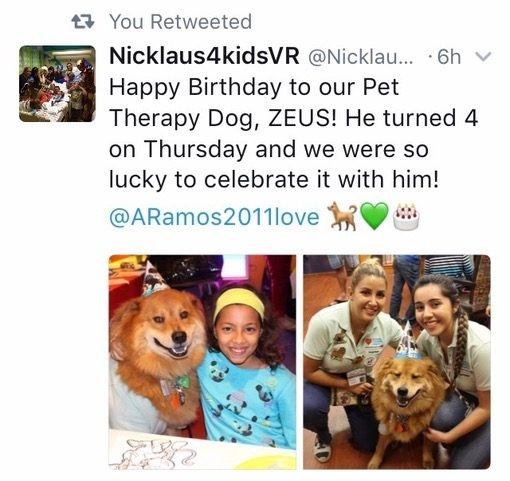 Zeus 4 Birthday at Nicklaus Children’s Hospital | Ale Ramos Therapy Animals