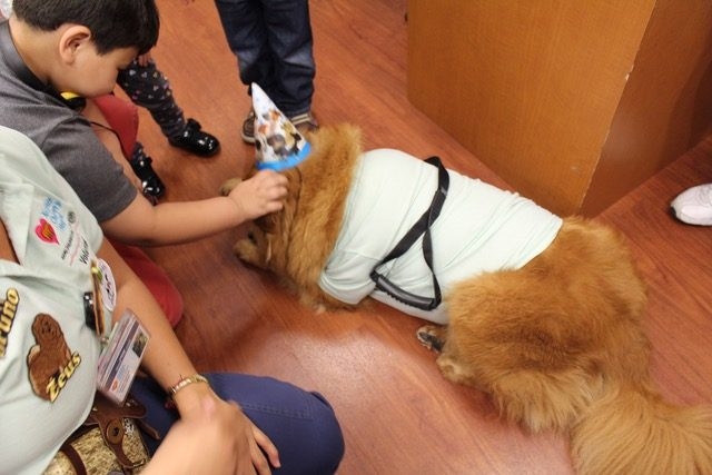 Zeus 4 Birthday at Nicklaus Children’s Hospital | Ale Ramos Therapy Animals
