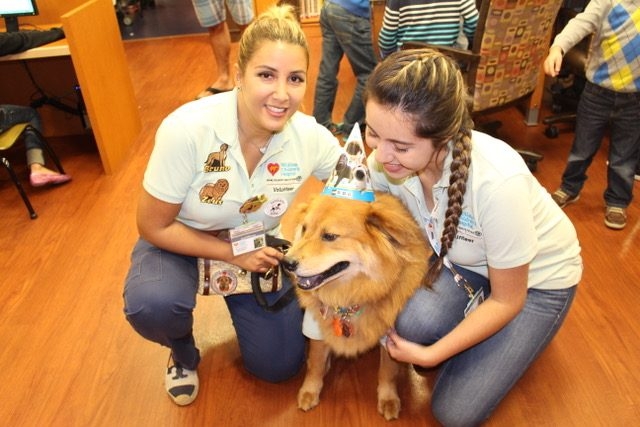 Zeus 4 Birthday at Nicklaus Children’s Hospital | Ale Ramos Therapy Animals