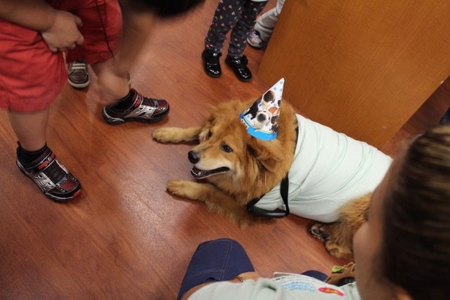 Zeus 4 Birthday at Nicklaus Children’s Hospital | Ale Ramos Therapy Animals