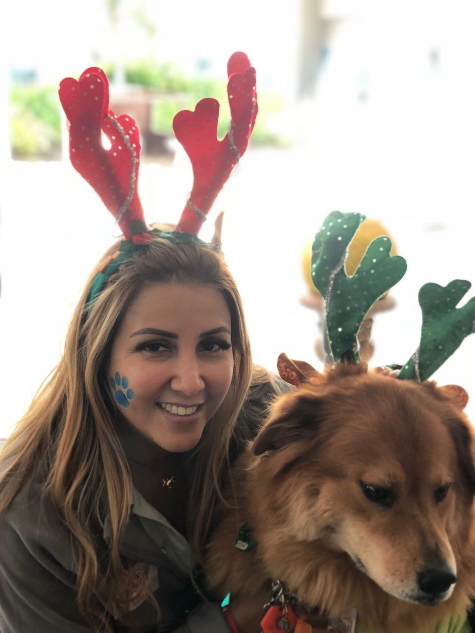 Zeus Adventures | Ale Ramos Therapy Animals