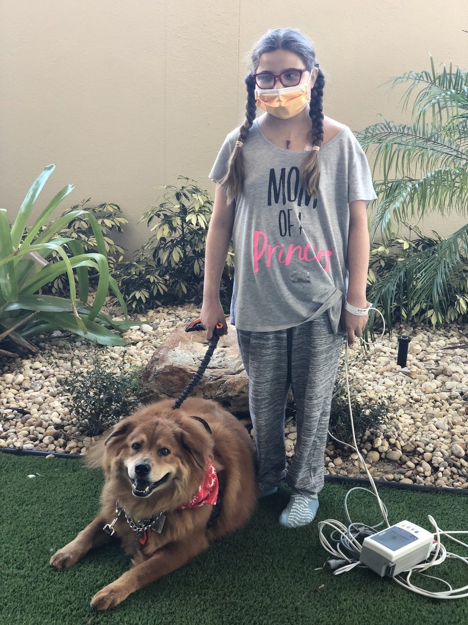 Zeus Adventures | Ale Ramos Therapy Animals