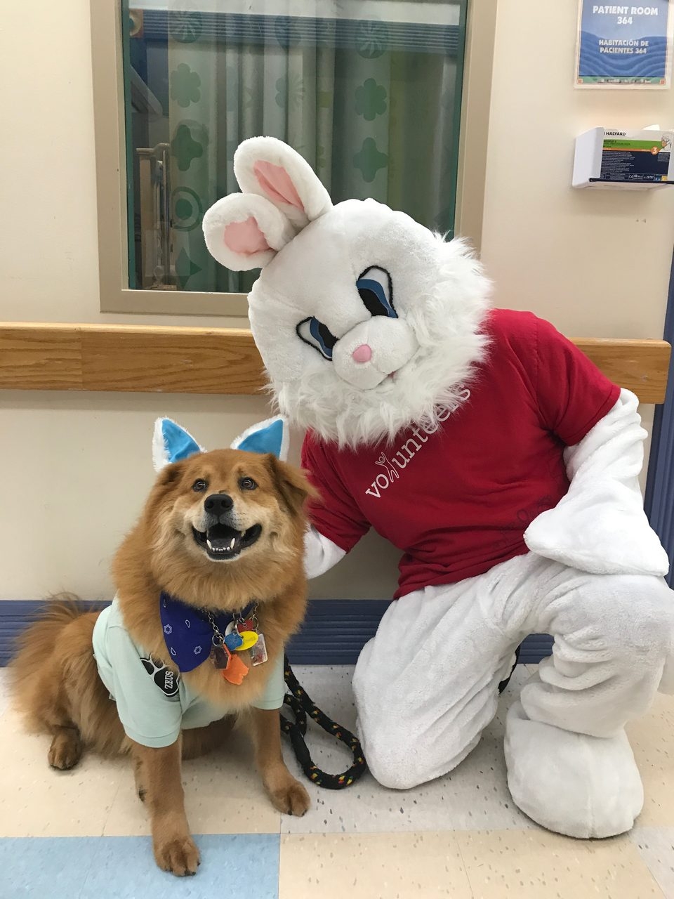 Zeus Adventures | Ale Ramos Therapy Animals