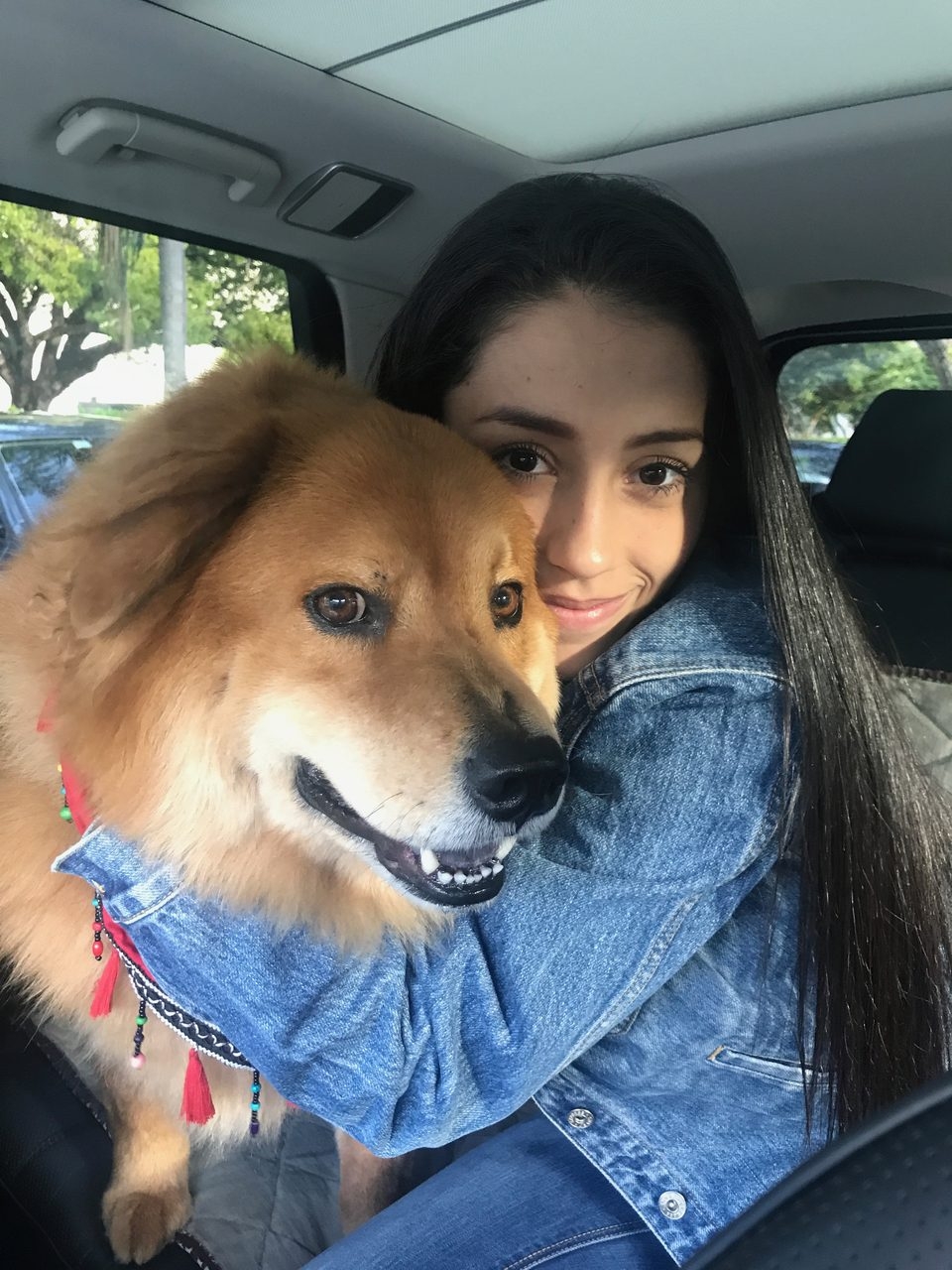 Zeus Adventures | Ale Ramos Therapy Animals