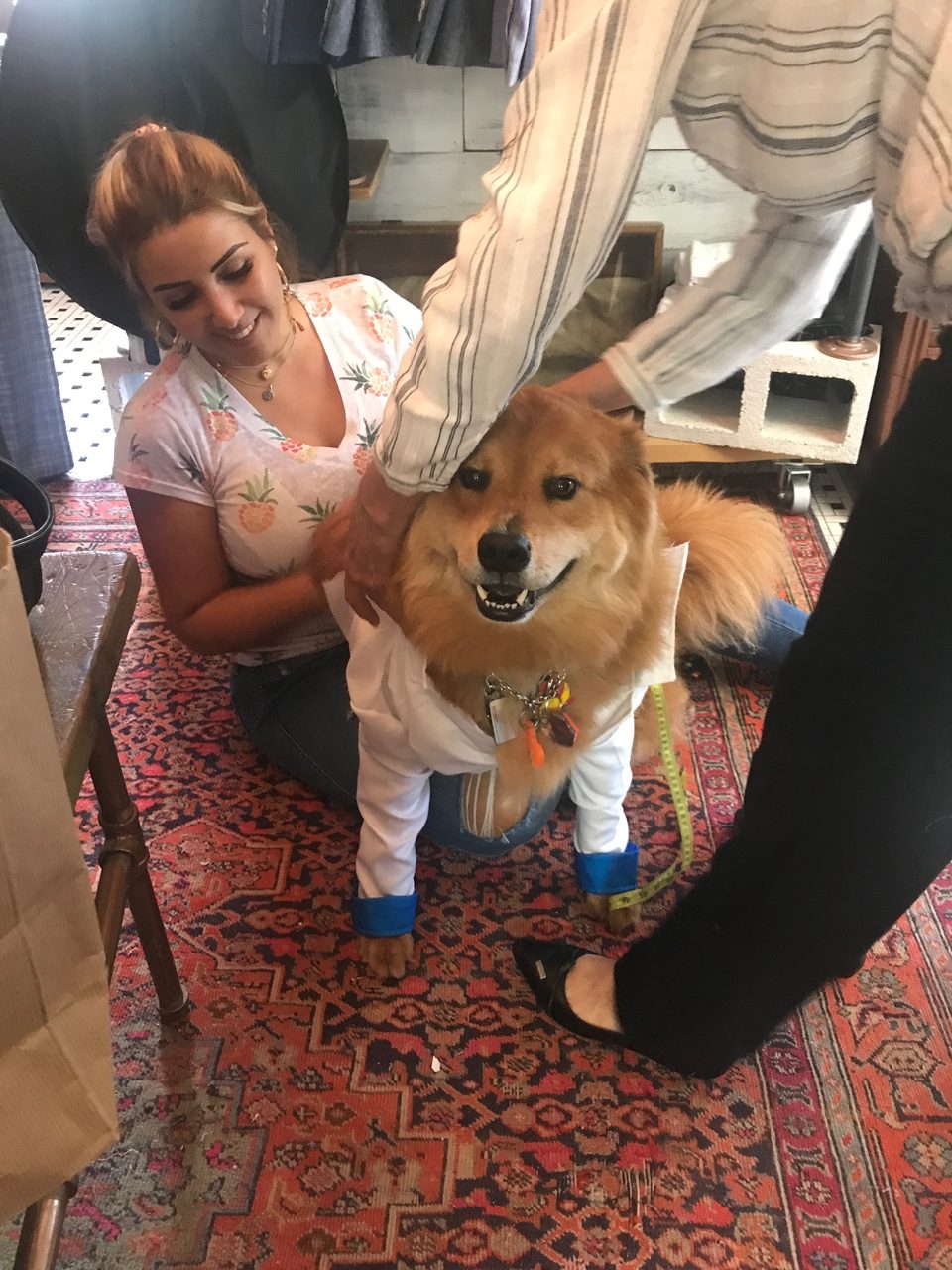 Zeus Adventures | Ale Ramos Therapy Animals