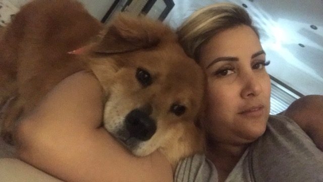 Zeus Adventures | Ale Ramos Therapy Animals