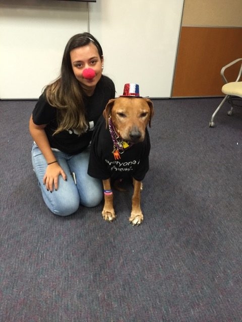 Zeus Adventures | Ale Ramos Therapy Animals