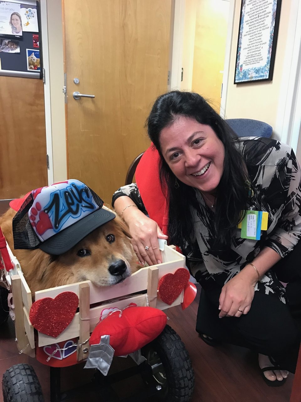 Zeus Adventures | Ale Ramos Therapy Animals