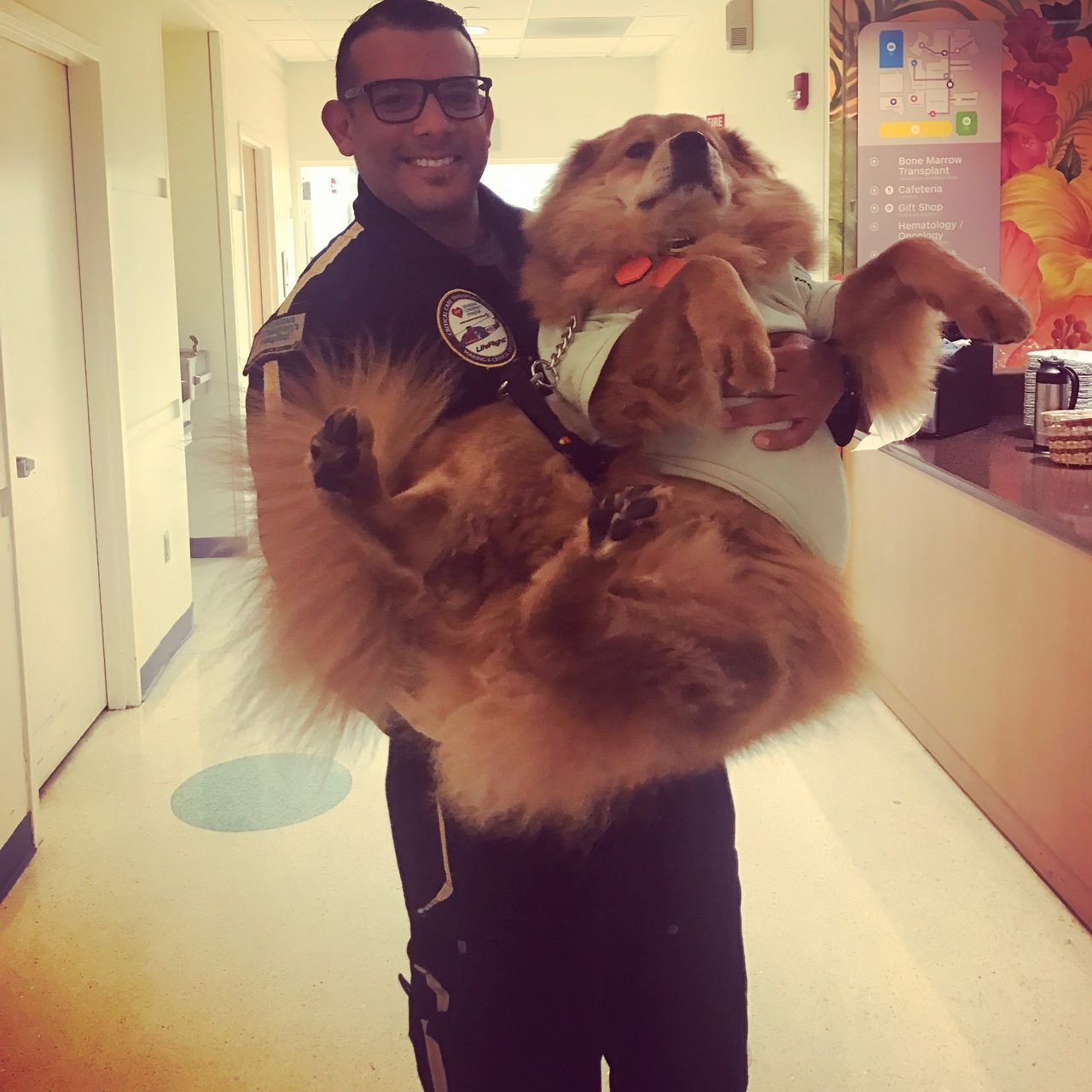 Zeus Adventures | Ale Ramos Therapy Animals