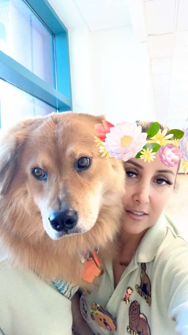 Zeus Adventures | Ale Ramos Therapy Animals