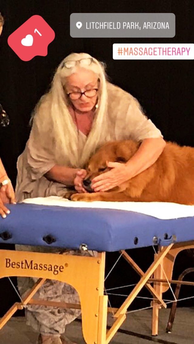 Zeus Adventures | Ale Ramos Therapy Animals