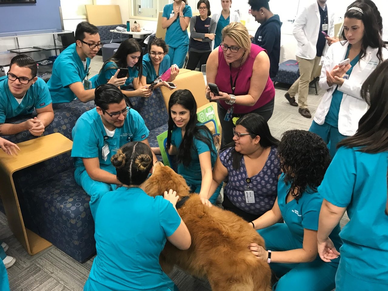 Zeus’s Day at NSU Miami Campus with the Nunrsin Students during their finals! | Ale Ramos Therapy Animals
