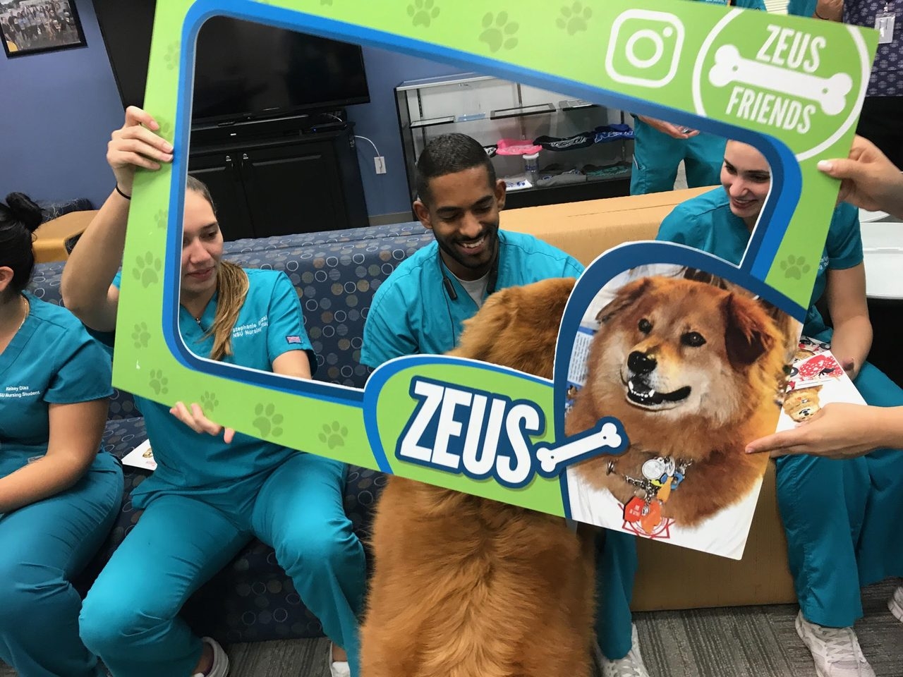 Zeus’s Day at NSU Miami Campus with the Nunrsin Students during their finals! | Ale Ramos Therapy Animals