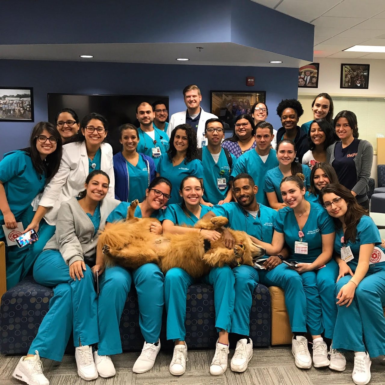 Zeus’s Day at NSU Miami Campus with the Nunrsin Students during their finals! | Ale Ramos Therapy Animals