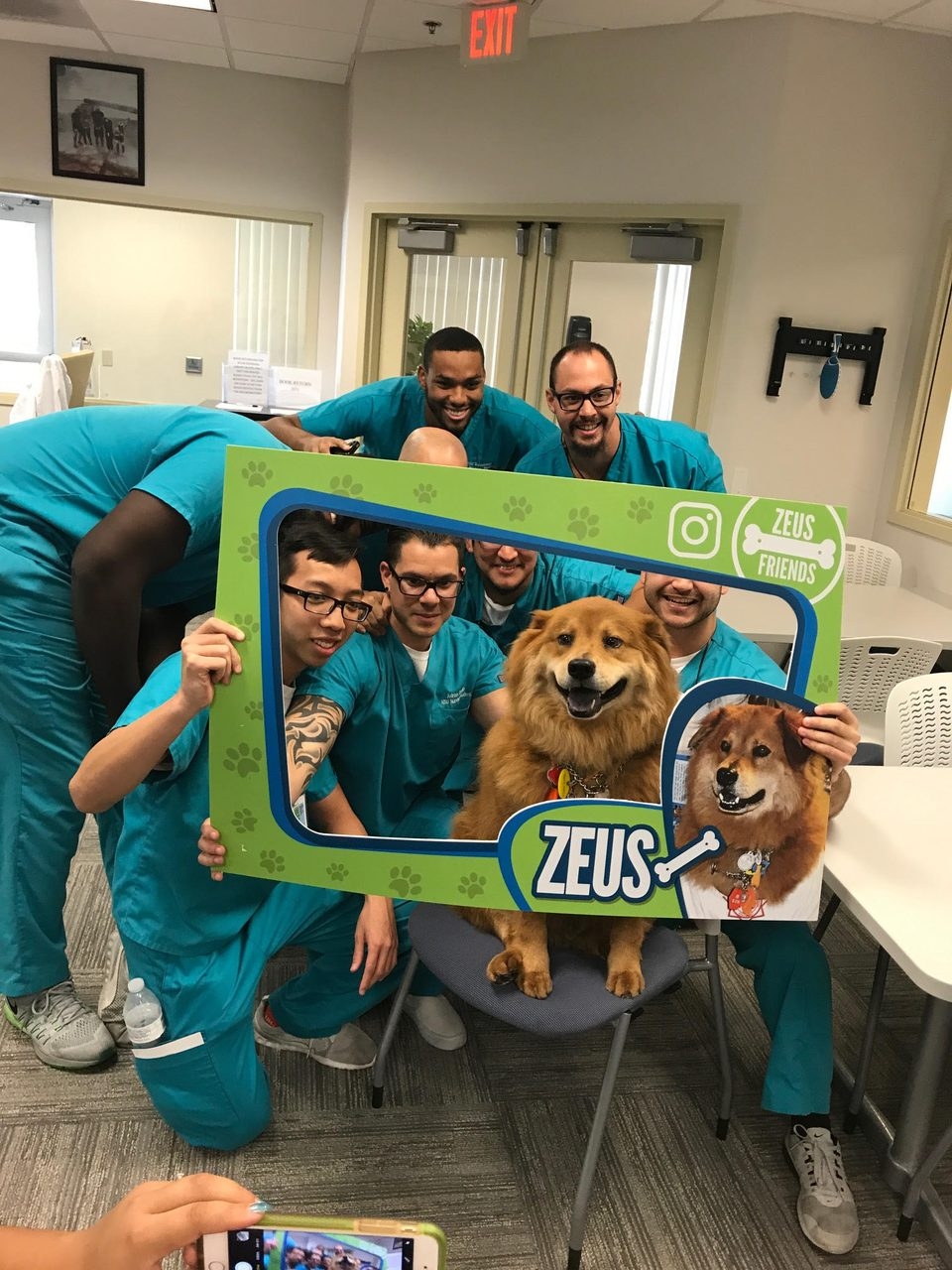 Zeus’s Day at NSU Miami Campus with the Nunrsin Students during their finals! | Ale Ramos Therapy Animals