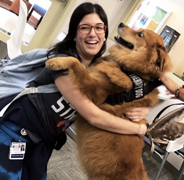 Zeus’s Day at NSU Miami Campus with the Nunrsin Students during their finals! | Ale Ramos Therapy Animals