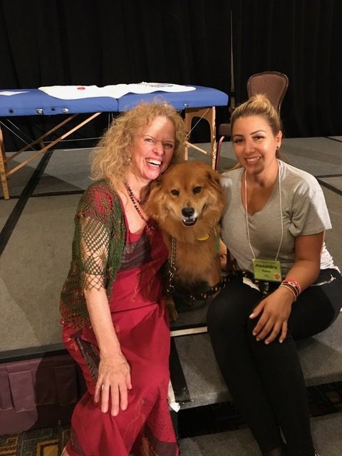 Zeus Trip to Arizona Energy Medicine by Dona Edén | Ale Ramos Therapy Animals