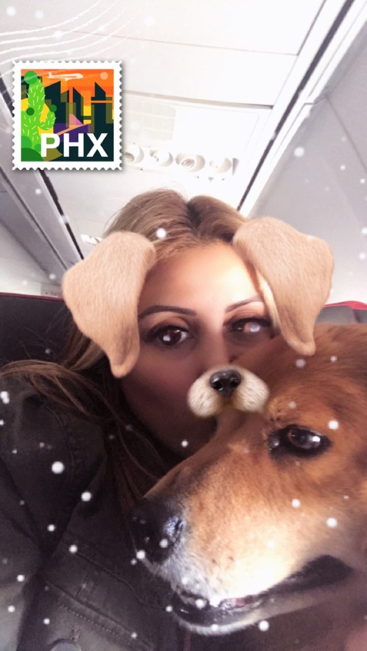 Zeus Trip to Arizona Energy Medicine by Dona Edén | Ale Ramos Therapy Animals