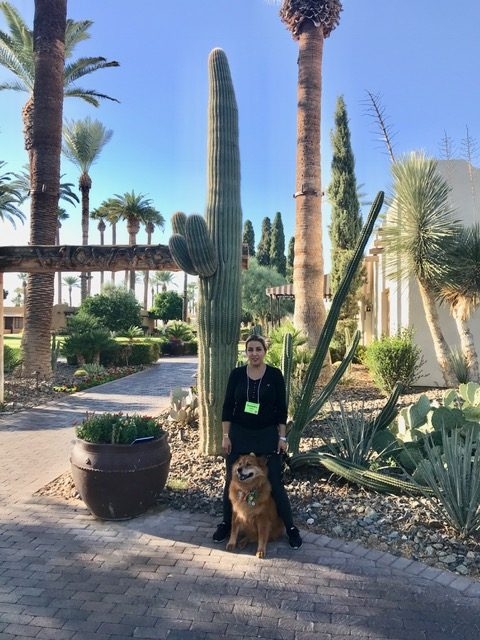 Zeus Trip to Arizona Energy Medicine by Dona Edén | Ale Ramos Therapy Animals