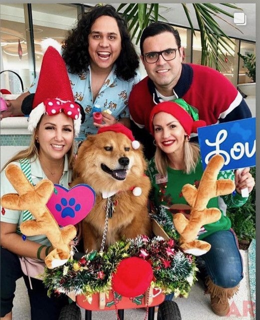 Annual Christmas Oncology Celebration by Family Esko at Nicklaus Children’s Hospital | Ale Ramos Therapy Animals